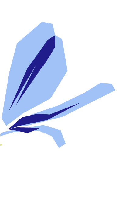 Flor