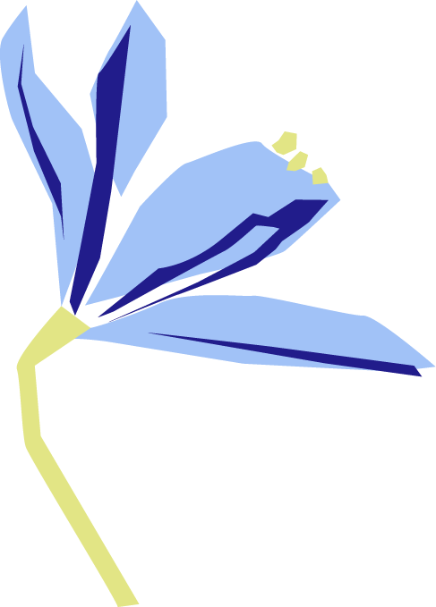 Flor