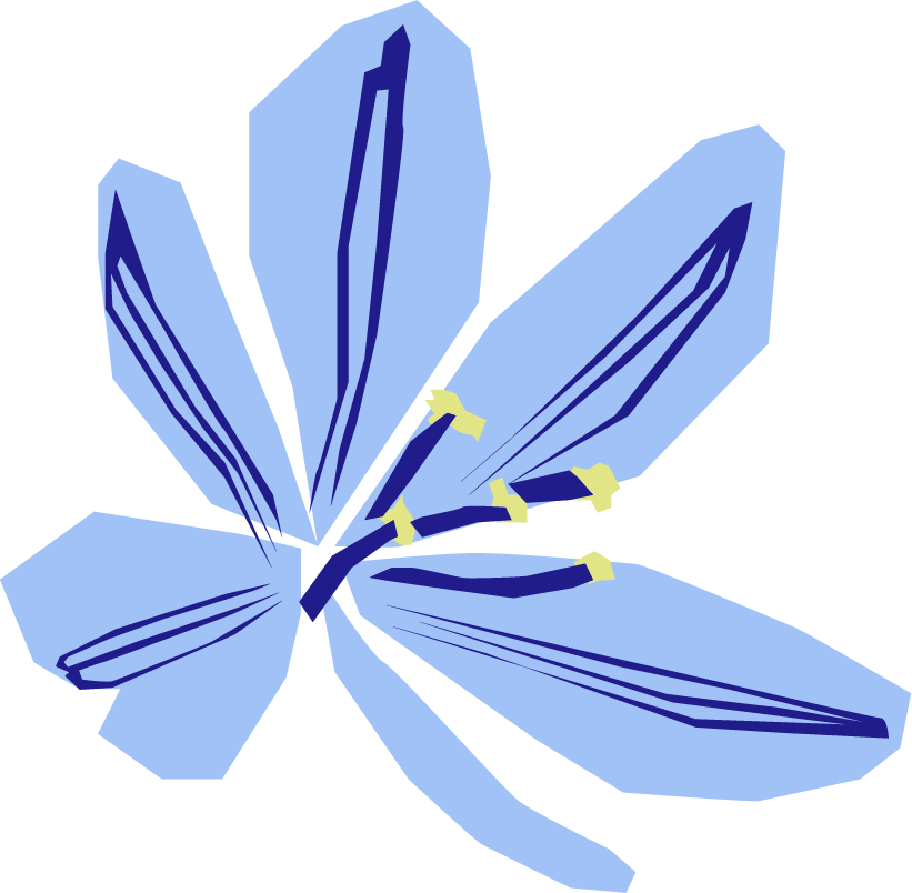 Flor