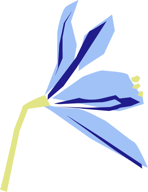 Flor