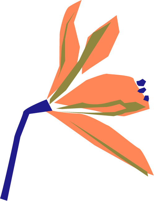 Flor