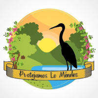 Alexandra Alarcón y colaboración de Protejamos lo Mendez