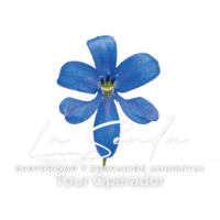 La Senda Ecoturismo