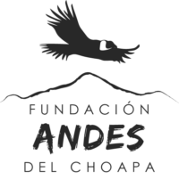 Fundación Andes del Choapa