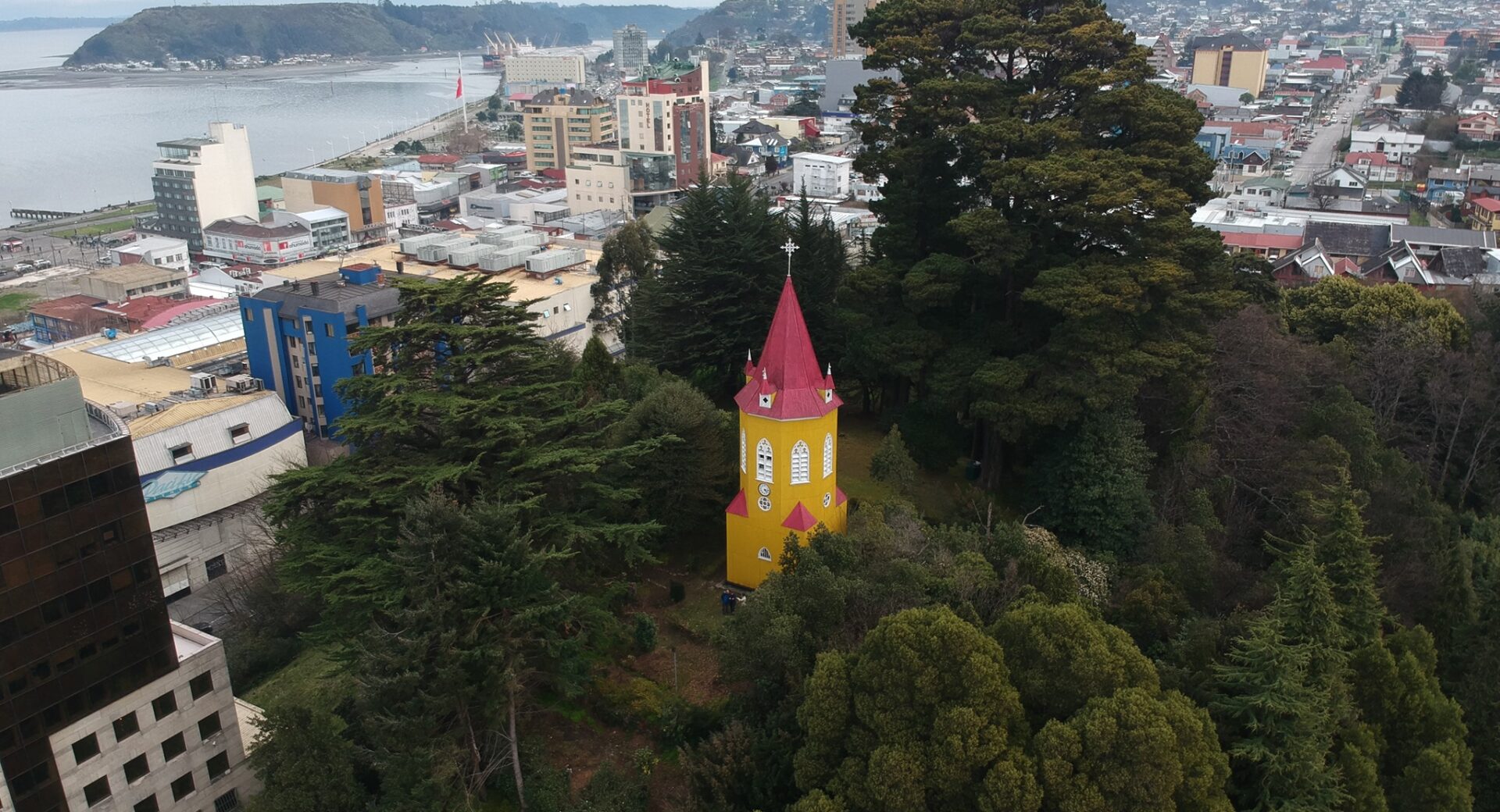 Aventura Botánica en el Cerro Campanario
