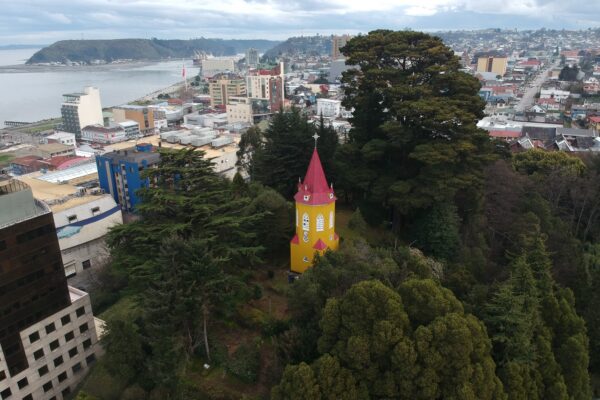 Aventura Botánica en el Cerro Campanario