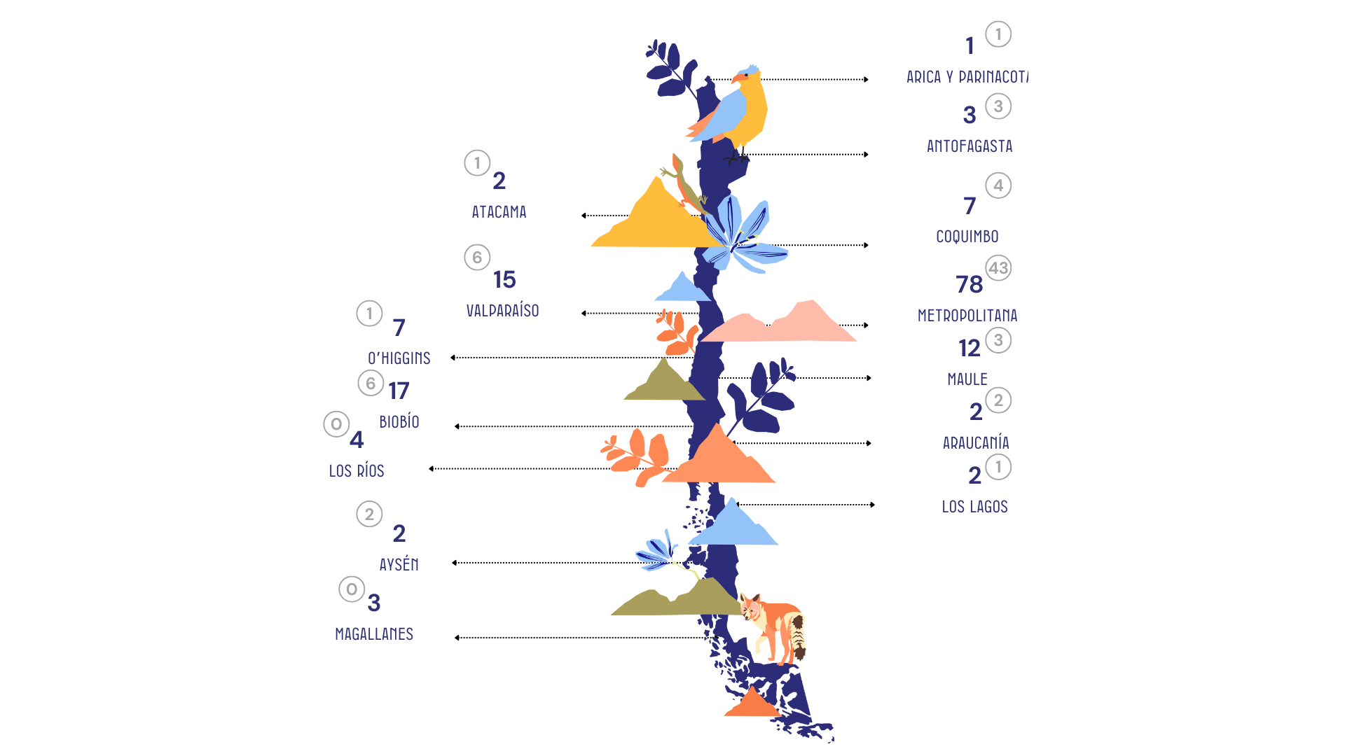 Nuestras actividades