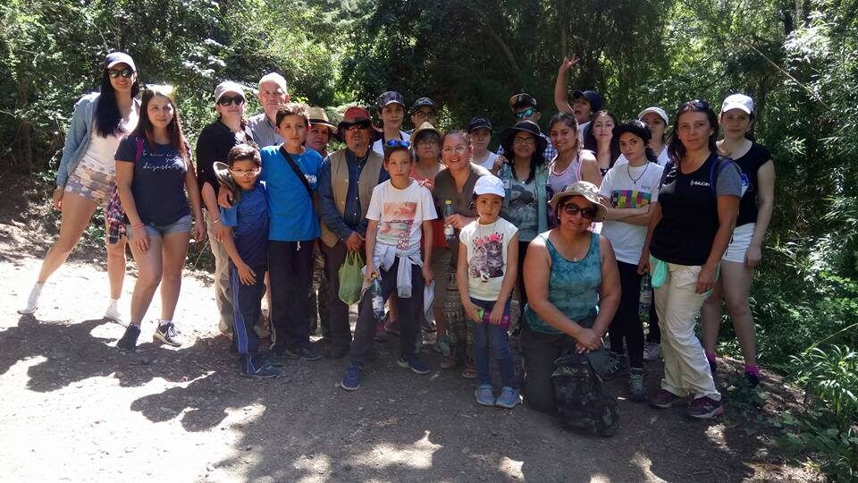 Cerro Chepe el nuevo pulmón verde de Concepción