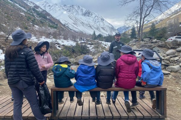 Guardianes del Valle