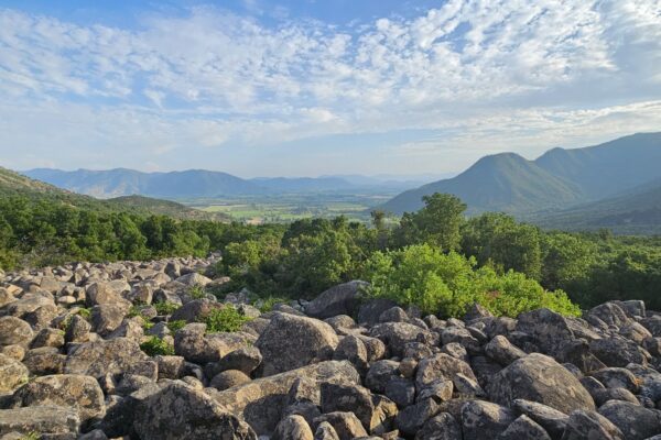 RUTA DE DARWIN: Naturaleza y Aventura en Colchagua