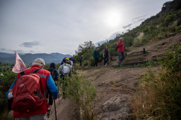 Trekking del Bosque Esclerófico del Parque Sebastián Piñera Echenique (Ex Cerro del Medio)