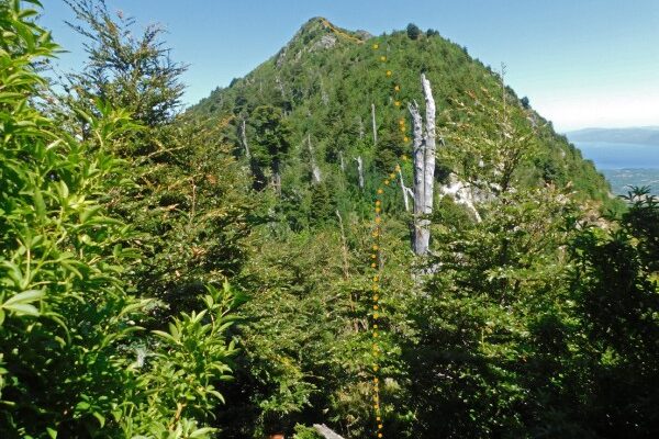 Andeshandbook recomienda: Excursión Cerro Diuco