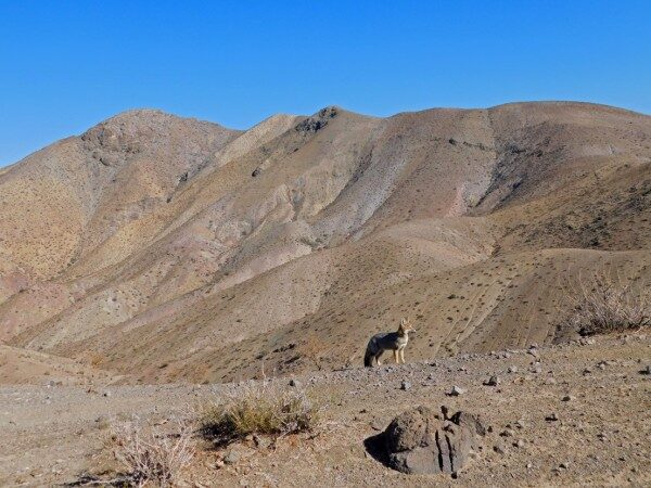 Andeshandbook recomienda: Excursión Cerro El Reloj