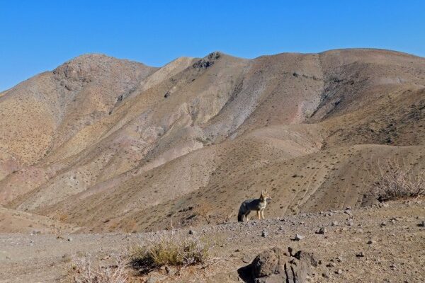 Andeshandbook recomienda: Excursión Cerro El Reloj