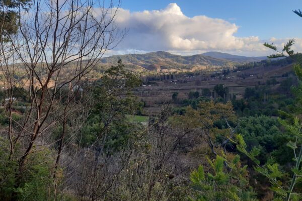 Cerro Arriba, Cerro Abajo