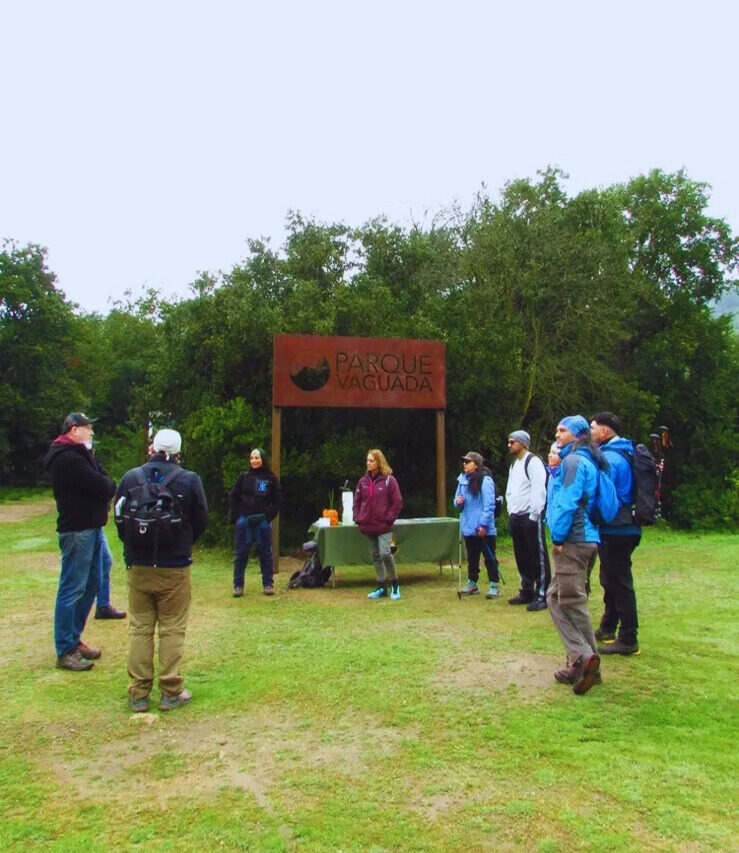 Travesía por el Parque Vaguada