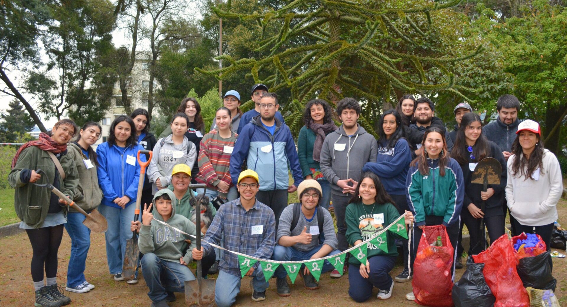 Vamos al Cerro Amarillo