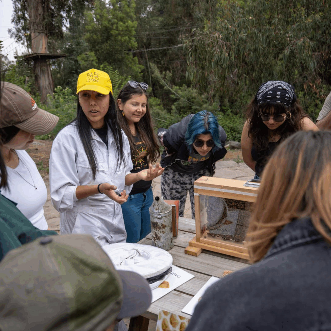 Apicultores por un día. Charla