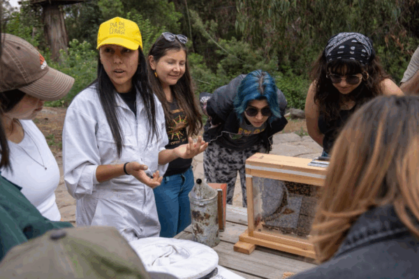 Apicultores por un día. Charla