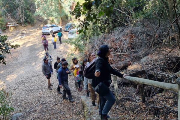 Maravillas del Mauco, descubriendo la biodiversidad de Curacaví