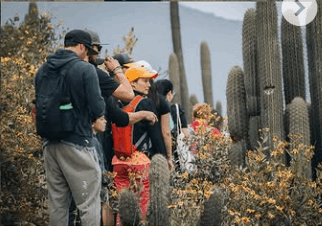 Cerros de Naltahua «Nuestra Historia Natural»