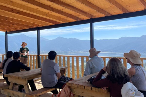 Los secretos de La Olivera