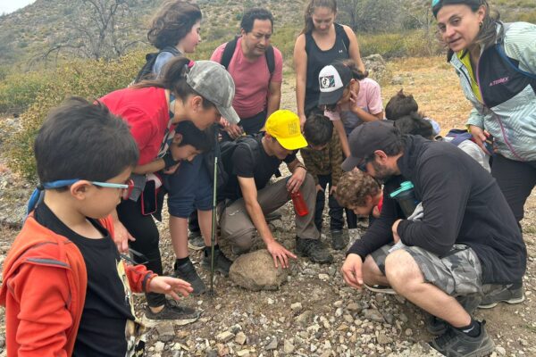 Descubriendo la fauna del Parque La Giganta: excursión y búsqueda de animales