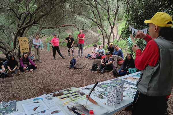 Entre Hojas Y plumas
