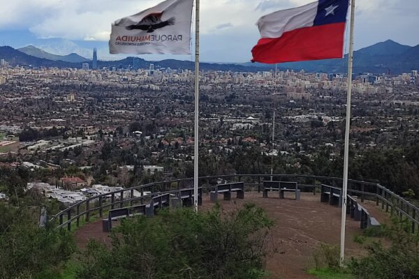 Descubre la historia natural del Parque Mahuida
