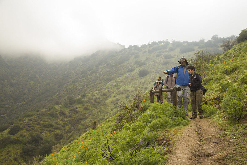 Conociendo la Biodiversidad de Bosque Santiago a través del Sendero El Carbón