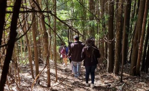 Conecta con el Cerro: tu Cuerpo, el Bosque y la Tierra