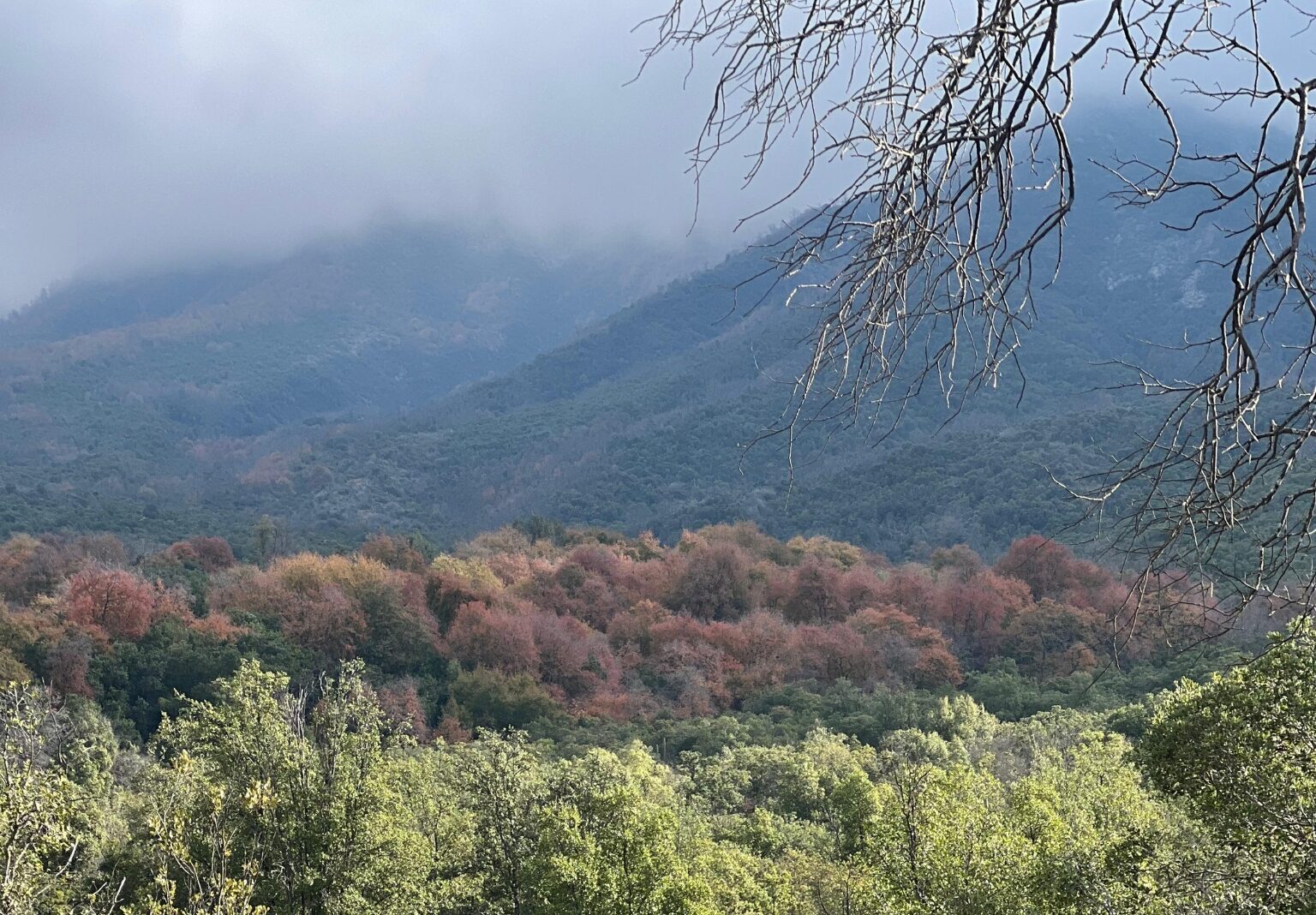 Del Esclerófilo a la Roblería: Conociendo y protegiendo nuestro patrimonio biocultural