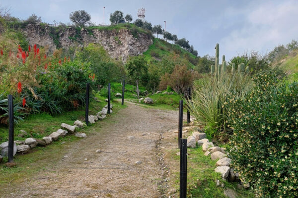 Observa, Camina y Escribe el Cerro: Ciencia y Haikus en Cerro Blanco