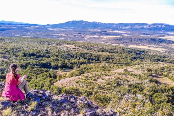 Caminata entre bosques de Ñire y Lenga