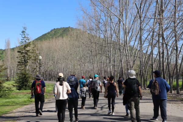 Senderos Ancestrales del Cerro Negro, Interpretación de Flora y Avifauna Local