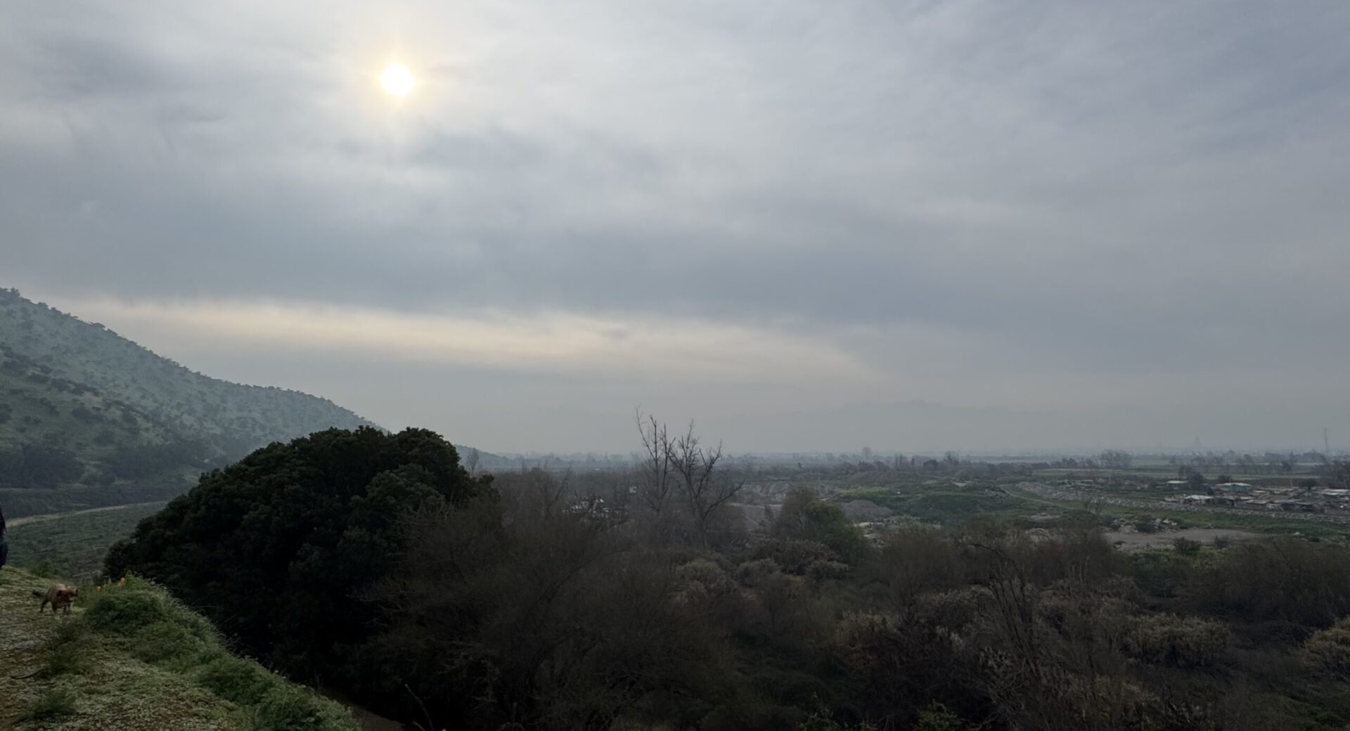 Pajareando en los cerros de Maipú
