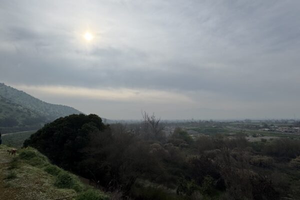 Pajareando en los cerros de Maipú