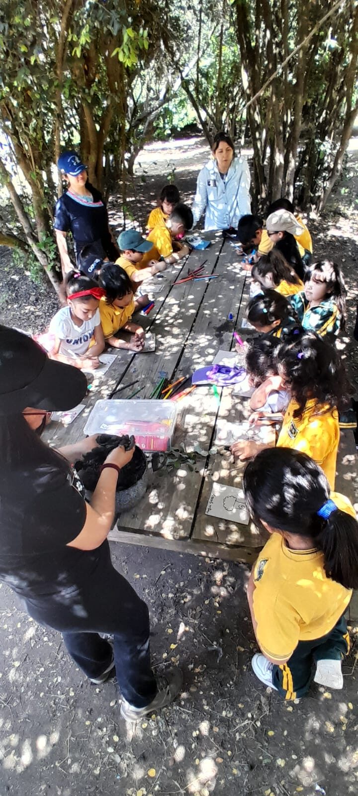 Describriendo los tesores del Bosque Esclerófilos