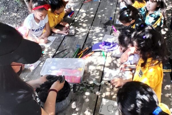 Describriendo los tesores del Bosque Esclerófilos