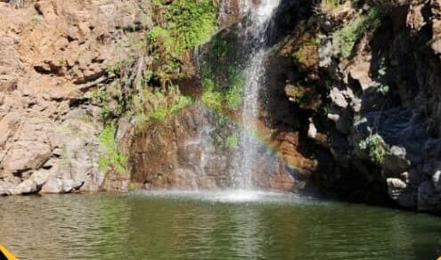 Conectemos con nuestro patrimonio natural y biocultural histórico de Palos Quemados