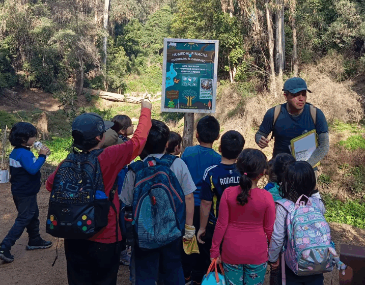 Pulmones verdes de Forestal