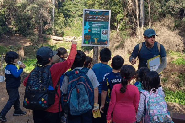 Pulmones verdes de Forestal