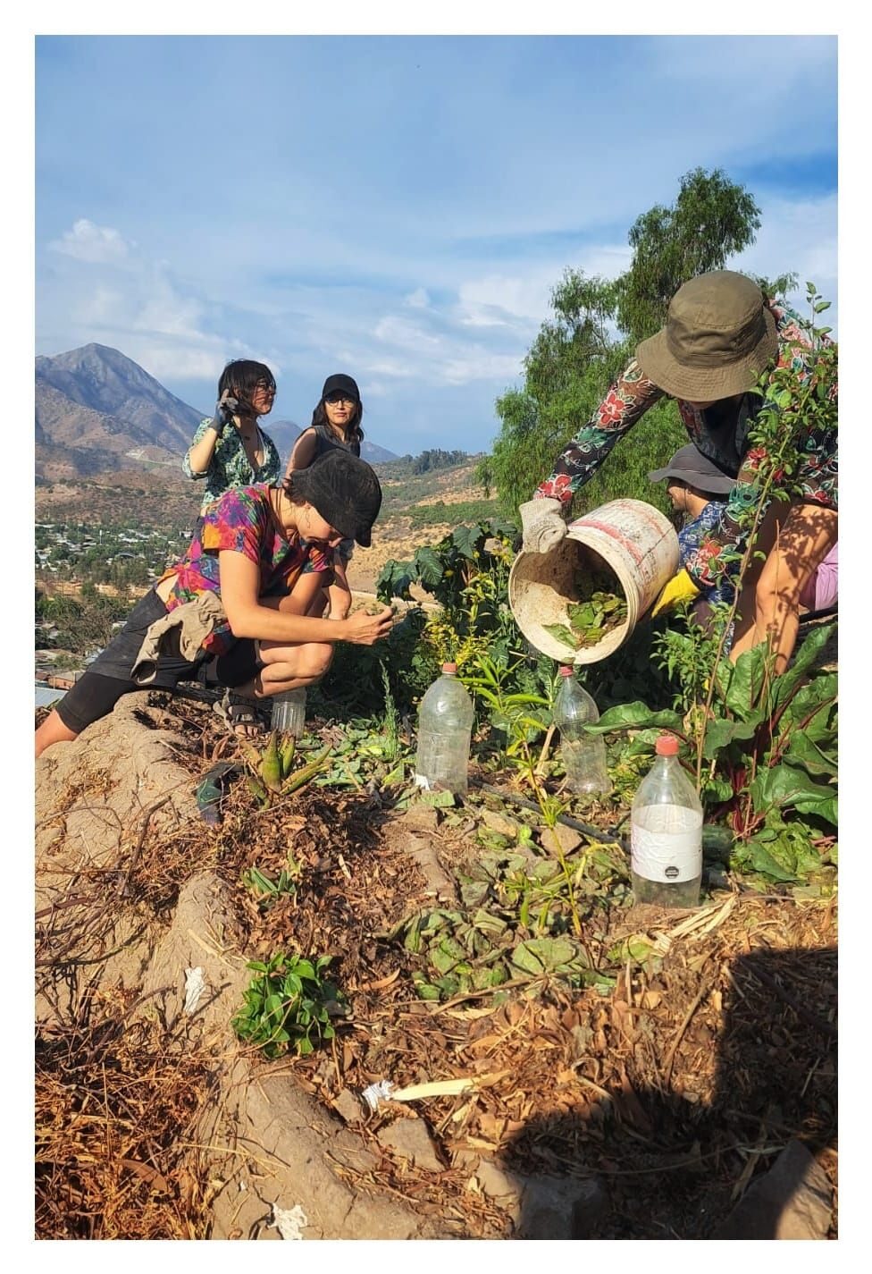 Regeneración Ecosocial en la ladera norte del Cerro San Cristóbal (Tupahue)