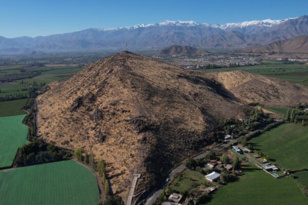 Cerro Patagual Vivo: Naturaleza y Patrimonio