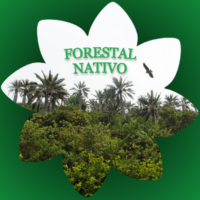 Agrupación Ecológica y Cultural Forestal Nativo