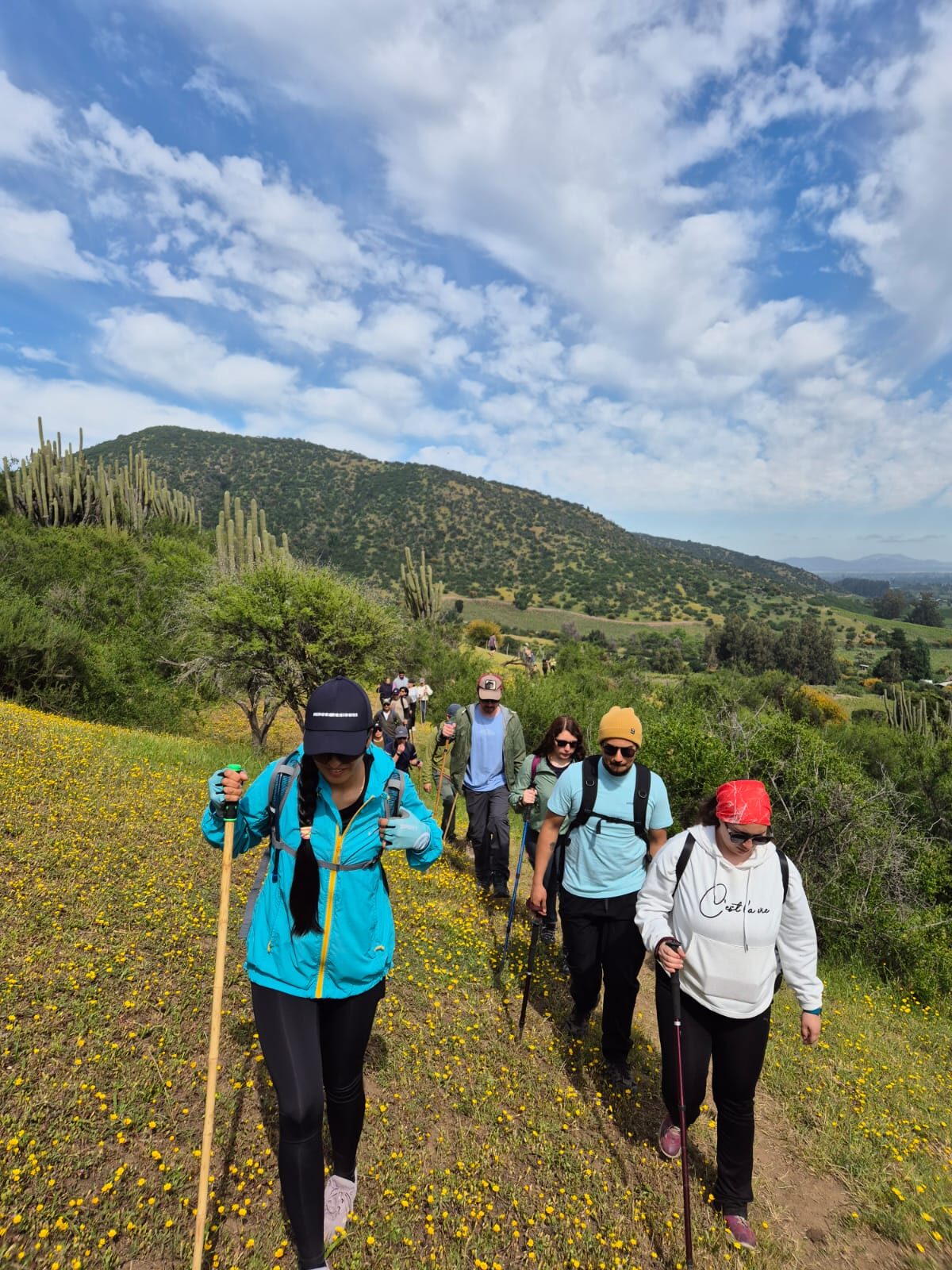 Trekking guiado por Cerro Mancumán en Viña Clos de Luz