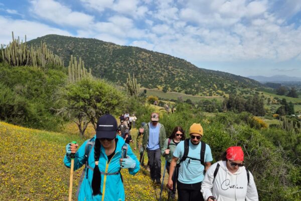 Trekking guiado por Cerro Mancumán en Viña Clos de Luz