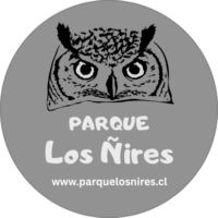 Parque Los Ñires