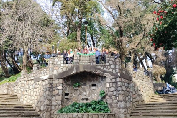 «Vamos al Cerro Amarillo» Feria artística-ambiental
