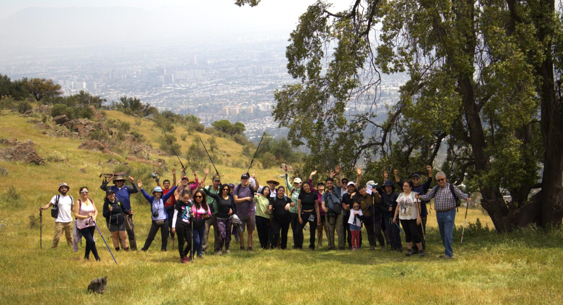 Caminata de reconocimiento de flora, fauna y funga en Bosque Panul y Cerro Santa Rosa